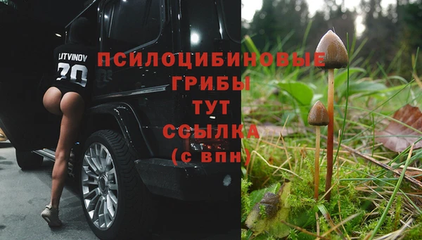 хмурый Навашино